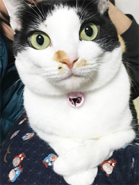 佐藤
