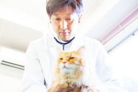 事前の万全な健康チェック